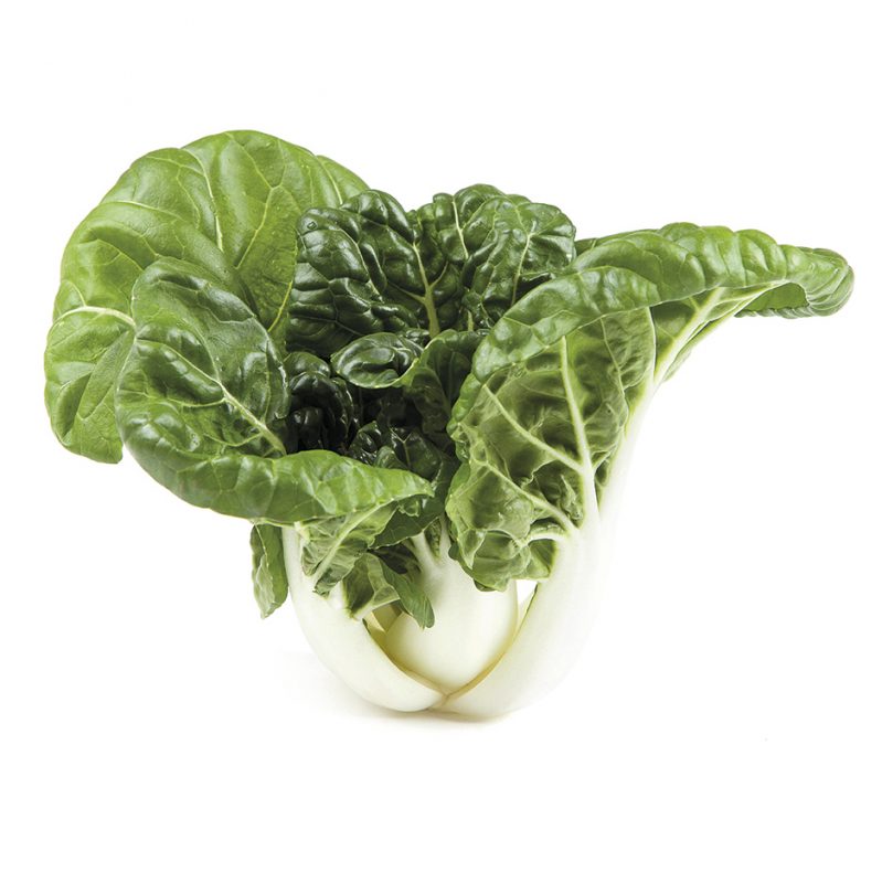 Hungfat
