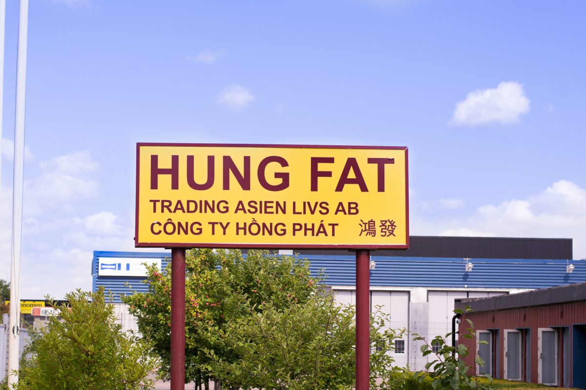 Hungfat