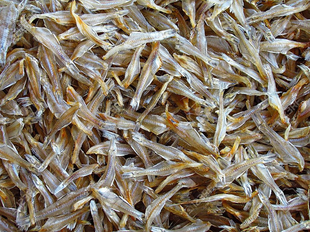Hungfat
