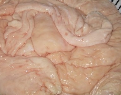 Hungfat