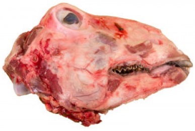 Hungfat