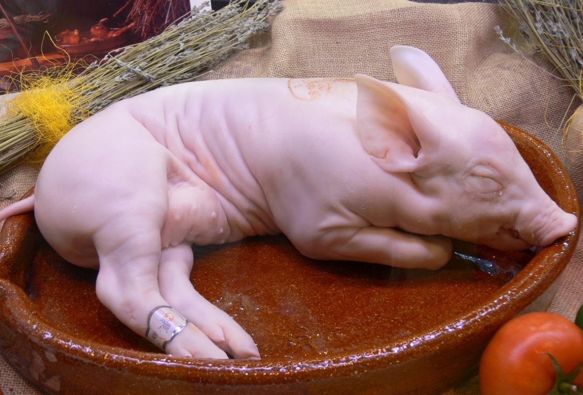 Hungfat