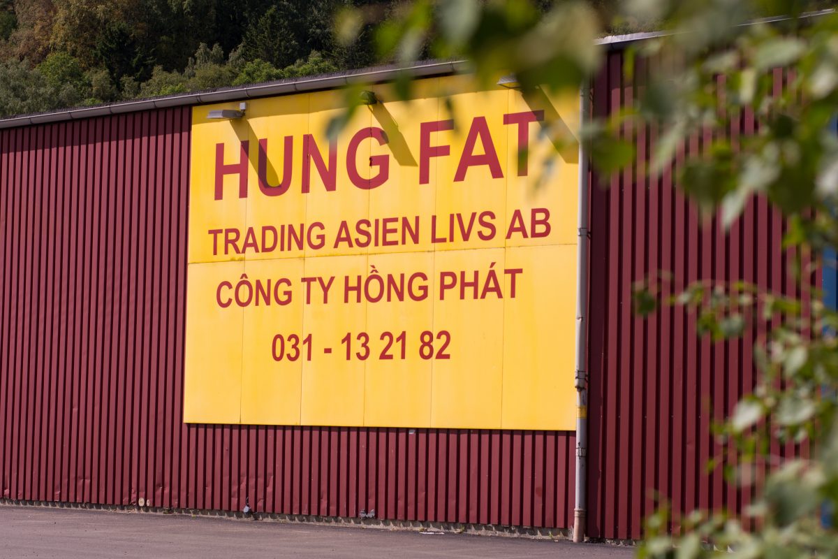Hungfat