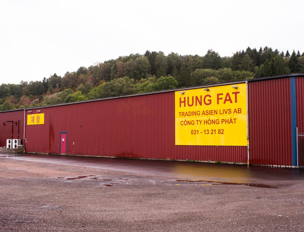 Hungfat