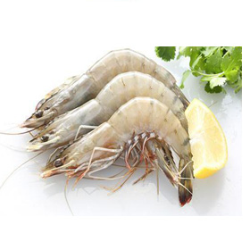 Hungfat