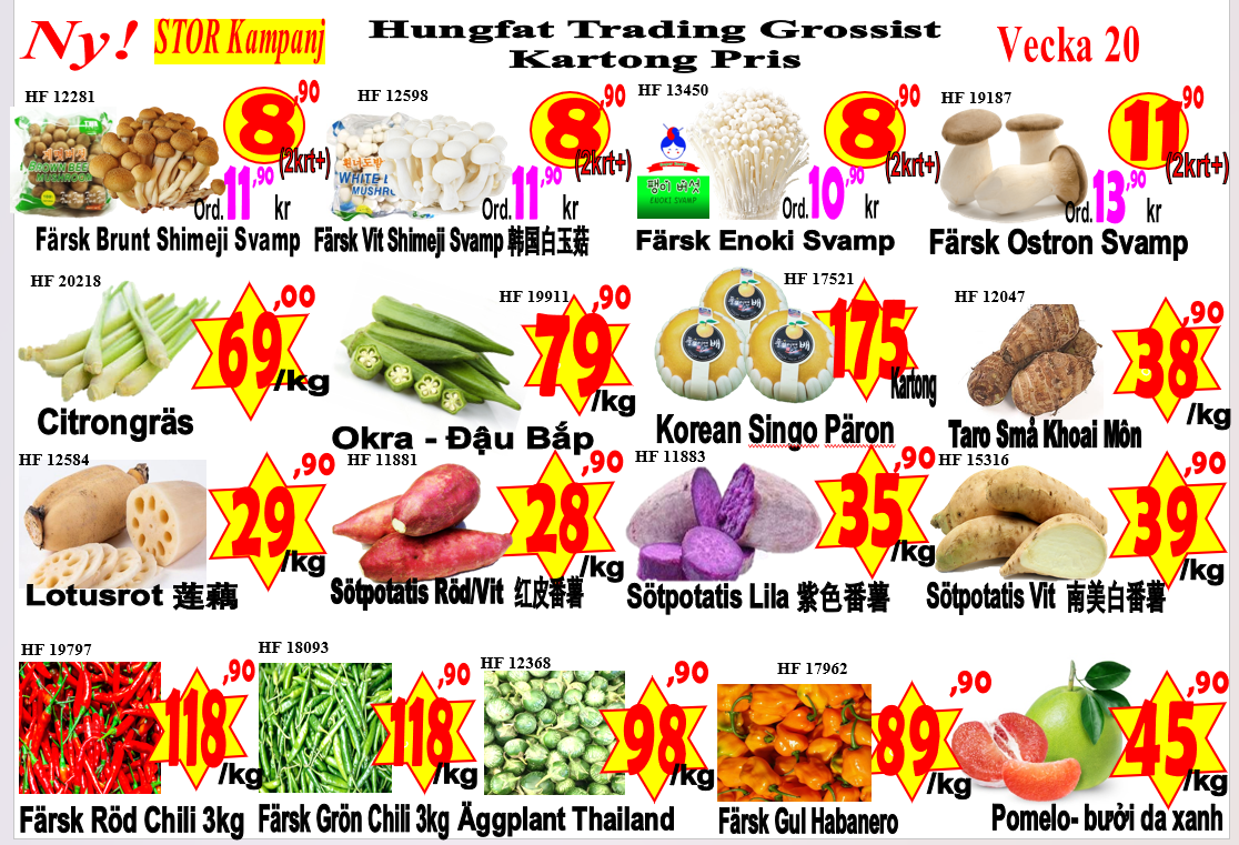 Hungfat